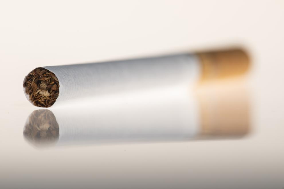 Descripción de la imagen